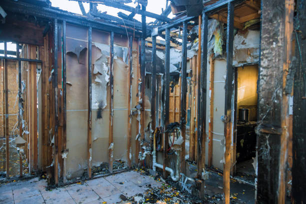 Professional Fire Damage Removal technician working in Medford, MN