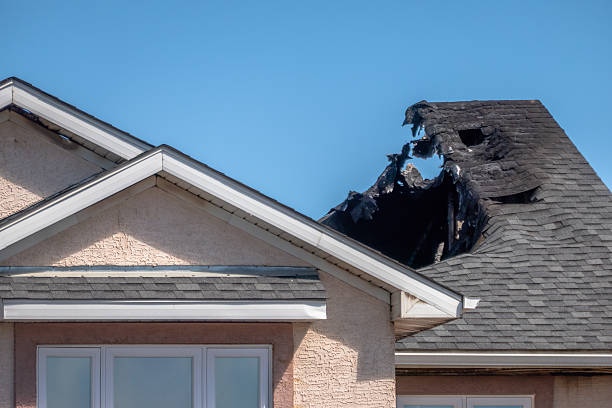 Top rated local Fire Damage Removal specialists in Medford, MN